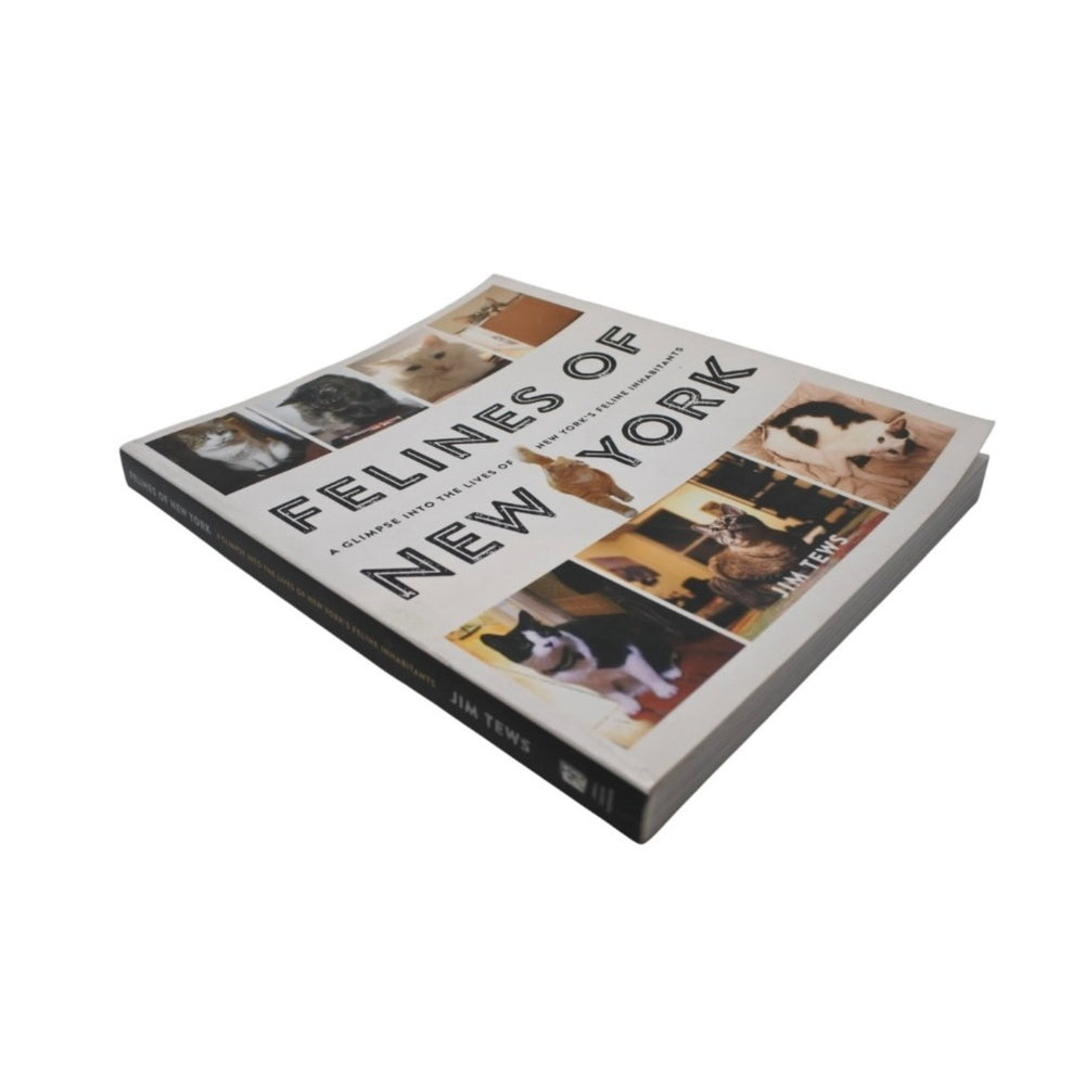 New York cat photo book book cat cat animal book magazine good condition used 4b013493