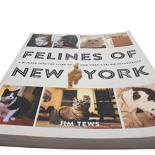 画像をギャラリービューアに読み込む, ニューヨークの猫写真集 本 ネコ ねこ 動物 本 雑誌 美品 中古 4b013493