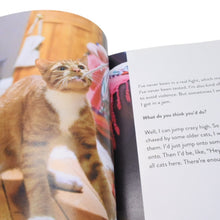 画像をギャラリービューアに読み込む, ニューヨークの猫写真集 本 ネコ ねこ 動物 本 雑誌 美品 中古 4b013493