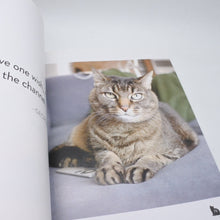 画像をギャラリービューアに読み込む, ニューヨークの猫写真集 本 ネコ ねこ 動物 本 雑誌 美品 中古 4b013493
