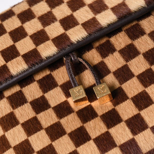 LOUIS VUITTON ルイヴィトン ダミエソバージュ ガゼル クロスボディーバッグ M92130 ハラコ ブラウン 美品 中古 4b014198