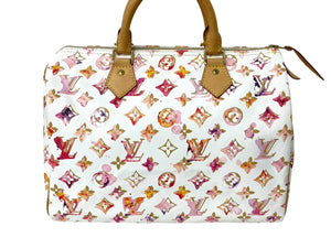 LOUIS VUITTON ルイヴィトン モノグラム ウォーターカラー スピーディ30 ハンドバッグ ボストンバッグ M95751 ゴールド金具 ホワイト ブロン 美品 中古 4c067816