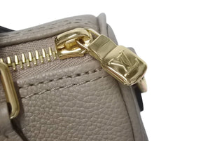 新品未使用 LOUIS VUITTON ルイヴィトン ナノ スピーディ ハンドバッグ M82890 モノグラム アンプラント ベージュ系 中古 4c071825