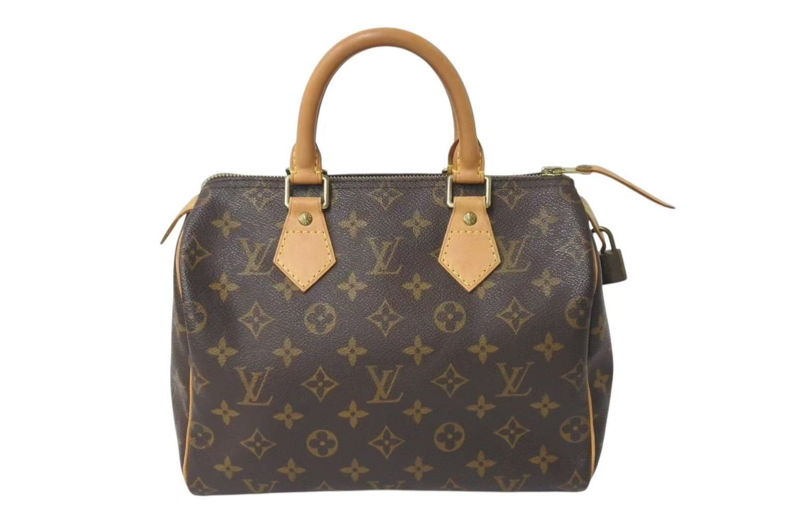 LOUIS VUITTON ルイヴィトン スピーディ25 ハンドバッグ M41109