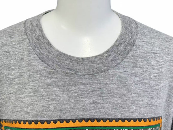 RSVP アールエスヴィーピー VINTAGE ヴィンテージ NIKE ナイキ 90's 銀タグ BO JACKSON "HIT & RUN" Tシャツ グレー サイズXL 美品 中古 4c074090