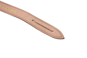 極美品 LOUIS VUITTON ルイヴィトン 村上隆 マルチカラー ポシェットアクセソワール ストラップ ブラウン レザー 中古 4c076312