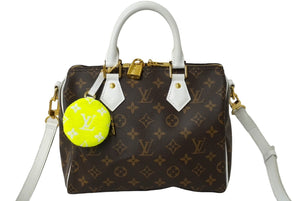 極美品 LOUIS VUITTON ルイヴィトン 2WAYバッグ スピーディ バンド