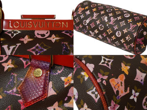 極美品 LOUIS VUITTON ルイヴィトン モノグラムウォーターカラー リチャードプリンス パピヨン ハンドバッグ M95730 ブラウン レッド 中古 62844