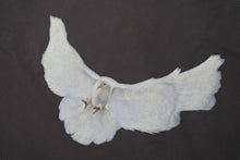 Load image into Gallery viewer, 新品未使用 YEEZY × GAP ENGINEERED BY BALENCIAGA DOVE ダヴ 半袖Tシャツ 471281 サイズM ダークグレー Ye 鳩 中古 4c076147