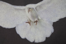 Load image into Gallery viewer, 新品未使用 YEEZY × GAP ENGINEERED BY BALENCIAGA DOVE ダヴ 半袖Tシャツ 471281 サイズM ダークグレー Ye 鳩 中古 4c076147