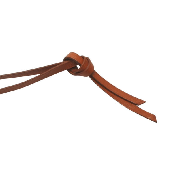 HERMES Leather Necklace Choker Horse Tackle Brown Leather String Silver Hardware Good Condition Used 4b013966
