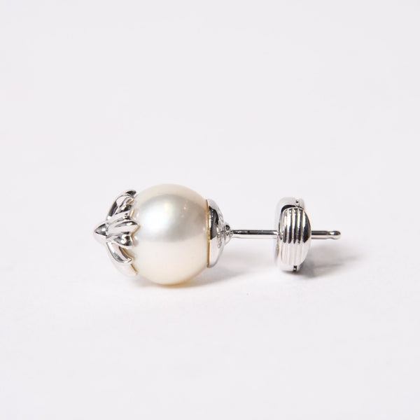 新品未使用 CHROME HEARTS クロムハーツ × ミキモト MIKIMOTO スタッド CHプラスパール ピアス 18K WG 中古 4b014110