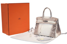 Load image into Gallery viewer, HERMES エルメス バーキン30 ヒマラヤ ニロティカスマットシルバー金具 T刻印 美品 中古 4b012854