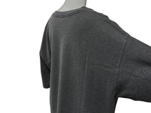 画像をギャラリービューアに読み込む, OLD STUSSY オールドステューシー Apple アップル サンプリング 半袖Tシャツ グレー ホワイト サイズXL 美品 中古 4c075820