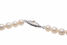 Load image into Gallery viewer, フェイクパール ネックレス アクセサリー 小物 イミテーションパール ノーブランド コットン ホワイト 42cm 美品 中古 28070