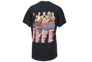 プロレス ヴィンテージ tシャツ live raw 2015 古着 トップス