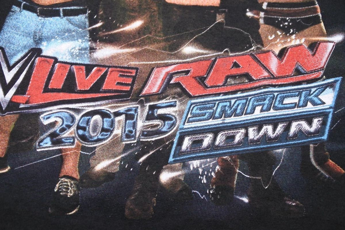 プロレス ヴィンテージ tシャツ live raw 2015 古着 トップス