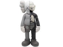 画像をギャラリービューアに読み込む, KAWS カウズ OPEN EDITION オープンエディション 2016 人体模型 MEDICOMTOY メディコムトイ アート グレー 美品 中古 36930