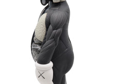 画像をギャラリービューアに読み込む, KAWS カウズ OPEN EDITION オープンエディション 2016 人体模型 MEDICOMTOY メディコムトイ アート グレー 美品 中古 36930