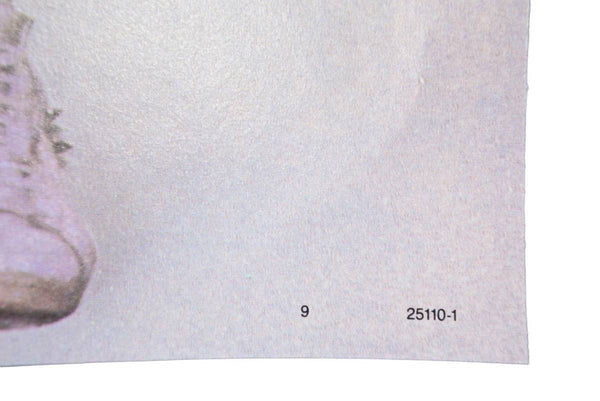 PRINCE Purple Rain プリンス パープル レイン LP レコード 1984年 ヴィンテージ 美品 中古 44444 正