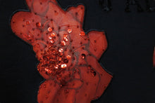 画像をギャラリービューアに読み込む, Christian Dior クリスチャンディオール ばら ジョンガリアーノ期 半袖Ｔシャツ 2005年 ロゴ 2H12155026 サイズ44 良品 中古 55301