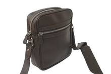 Load image into Gallery viewer, LOUIS VUITTON ルイ ヴィトン ショルダーバッグ 斜め掛け M32468 タイガレザー ディミトリ グリズリ 美品 中古 59664
